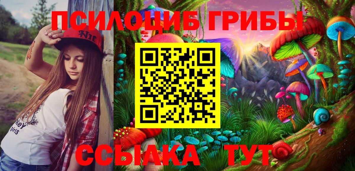 Псилоцибиновые грибы GOLDEN TEACHER Невинномысск